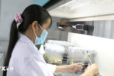 Vĩnh Long tạo sức bật cho hệ sinh thái đổi mới sáng tạo, khoa học, công nghệ
