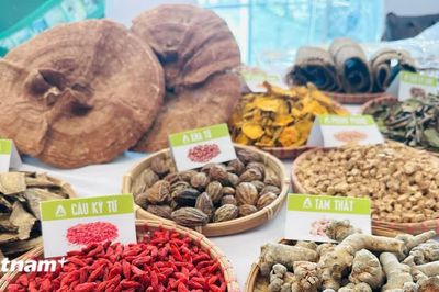 Tạo bước phát triển mới cho y học cổ truyền bằng tư duy và phương thức hiện đại