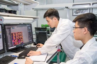 Ai có cơ hội nhận học bổng toàn phần học công nghệ chiến lược tại các đại học top 500 thế giới?