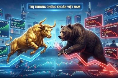 Khuyến nghị cổ phiếu ACB, BSR, PVD mới nhất từ SSI, MBS, BSC