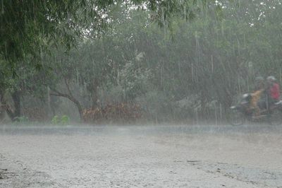 Mưa lớn kéo dài 3 ngày sẽ xuất hiện ở những tỉnh, thành nào?