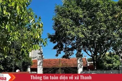Theo dòng hồi ký, nghĩ về tinh thần cách mạng của đất và người Thanh Hóa