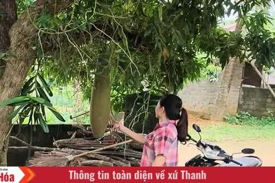 Tiếng kẻng báo lũ