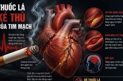Thuốc lá - “Kẻ thù” của trái tim