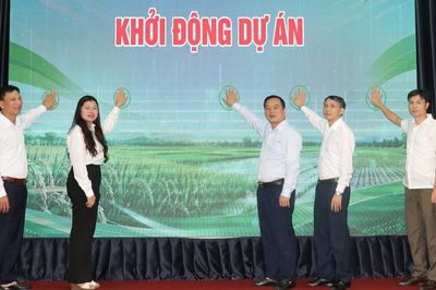 Bắc Ninh khởi động dự án canh tác lúa thân thiện với môi trường