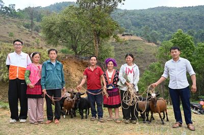 Thêm sinh kế cho người dân Sính Phình
