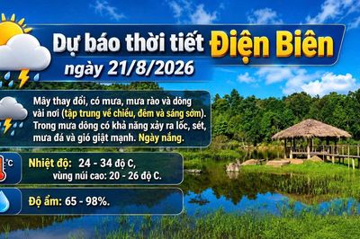 Bản tin Dự báo thời tiết ngày 21/8/2026