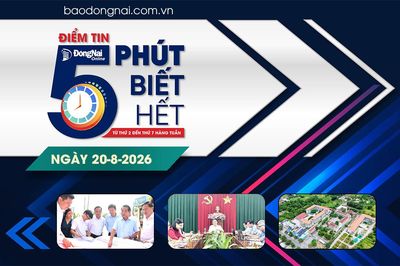 Điểm tin ‘5 phút biết hết’ sáng 20-8: Đồng Nai giảm 453 đầu mối cơ sở giáo dục công lập sau sắp xếp