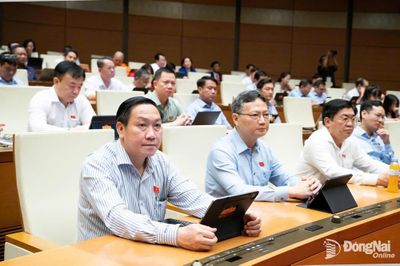 Hoàn thiện hệ thống pháp luật về phòng, chống tội phạm