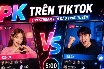 “PK TikTok” là gì, vì sao người livestream bất chấp làm thử thách nguy hiểm?