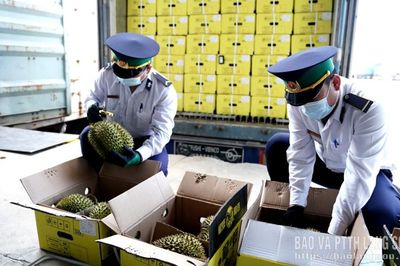 Thúc đẩy xuất khẩu sầu riêng