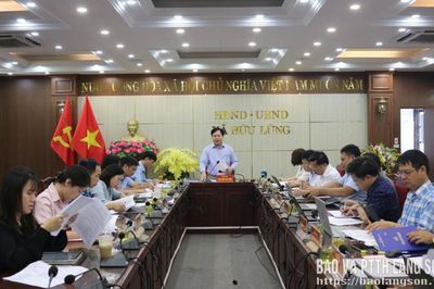 Kiểm tra tiến độ xây dựng nông thôn mới tại xã Hữu Lũng