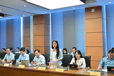 Đại biểu Quốc hội tỉnh góp ý vào các dự án luật