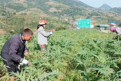 Từ 20/8/2026, mô hình khuyến nông tại vùng khó khăn được hỗ trợ tối đa 100% chi phí