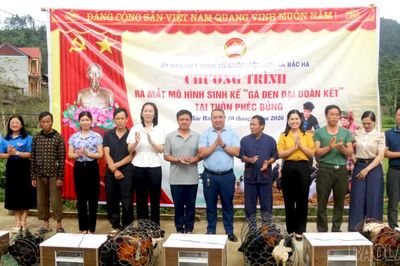 Bắc Hà ra mắt mô hình sinh kế “Gà đen đại đoàn kết” gắn với chuyển đổi số và truy xuất nguồn gốc QR-Code