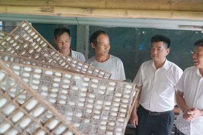 Khi nghị quyết chi bộ đi vào cuộc sống