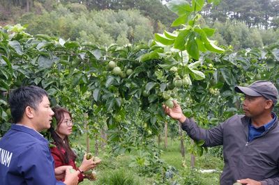 Chuyển đổi cây trồng, nâng hiệu quả sản xuất