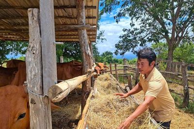 Trưởng thôn trẻ Thổ Văn Liền mở hướng làm giàu từ nông nghiệp