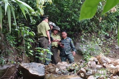 Giữ rừng từ những 'điểm chạm' công nghệ