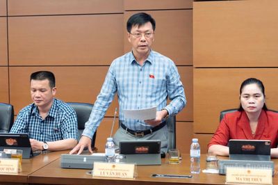 Đoàn ĐBQH tỉnh thảo luận Tổ về các dự án Bộ luật Hình sự, Bộ luật Tố tụng hình sự (sửa đổi)