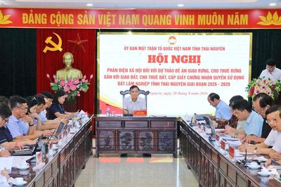 Xác lập rõ quyền lợi và nghĩa vụ của chủ rừng, bảo đảm hài hòa lợi ích