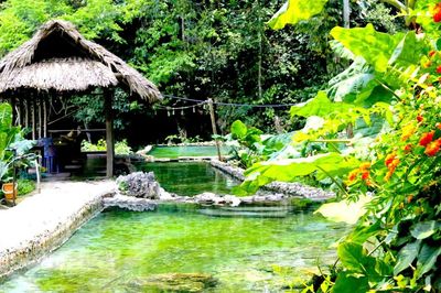 Hạ tầng mở không gian phát triển du lịch nông thôn