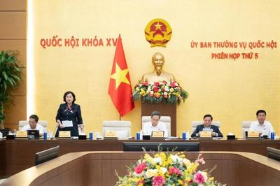 Sắp trình Quốc hội giảm 30% thuế thu nhập cho hộ, cá nhân kinh doanh và doanh nghiệp doanh thu dưới 10 tỷ đồng