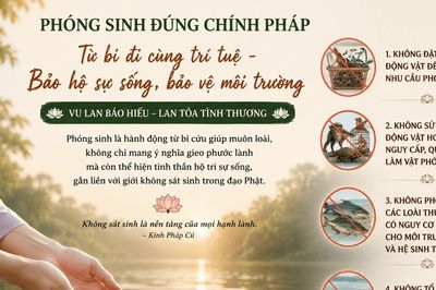 Thực hành phóng sinh trên nền tảng từ bi và trí tuệ