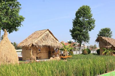 TP. Cần Thơ: Điểm nhấn tại Festival Quốc tế Ngành hàng lúa gạo Việt Nam - Cần Thơ 2026