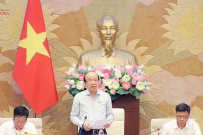 Thẩm tra sơ bộ dự án Bộ luật Hàng hải và Đường thủy Việt Nam