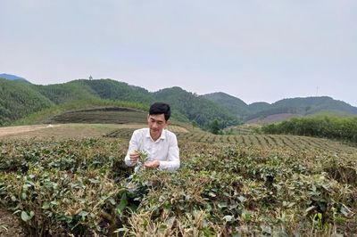 SHTT thành 'tấm hộ chiếu' nâng giá trị nông sản Thái Nguyên