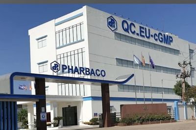 Pharbaco: CEO bị phạt do giao dịch 'chui', lợi nhuận tăng mạnh nhưng cổ phiếu vẫn ở vùng đáy