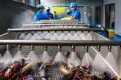 Sở hữu trí tuệ tạo bệ phóng để HTX ở Cà Mau nâng giá trị đặc sản