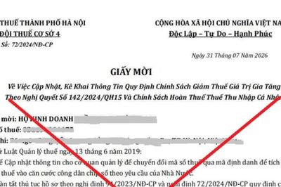 Cơ quan thuế hướng dẫn cách nhận diện 'cán bộ thuế' dỏm và loạt website mạo danh tinh vi