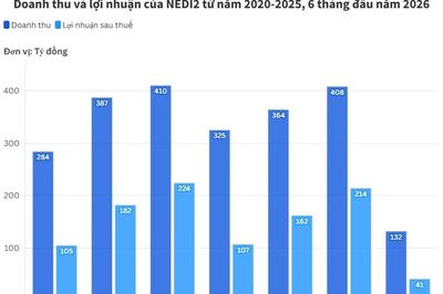 NEDI2 chốt ngày trả gần 175 tỷ đồng cổ tức tiền mặt