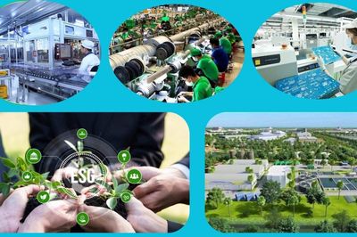 Đừng để ESG nằm trên giấy: Biến áp lực tuân thủ thành đòn bẩy năng suất