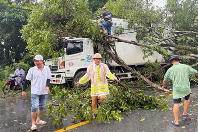 Mưa lốc quật ngã cây xanh, trụ điện nhiều nơi ở Lâm Đồng