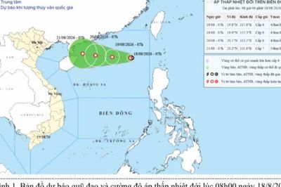 Tin áp thấp nhiệt đới trên Biển Đông
