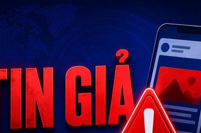 TP.HCM cảnh báo phụ lục giả mạo về sắp xếp đơn vị hành chính cấp xã