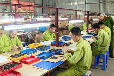 Nhiều chuyển biến rõ nét trong công tác cai nghiện ma túy