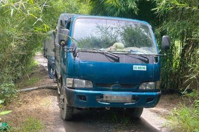 Đồng Nai: Bắt quả tang hai xe tải đổ chất thải trái phép giữa khu vực vườn tràm