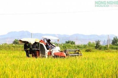 Nghệ An phấn đấu gieo trồng hơn 30.000 ha cây trồng vụ Đông năm 2026