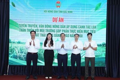 Bắc Ninh: Nhân rộng mô hình canh tác lúa giảm phát thải, hướng tới mục tiêu Net Zero 2050