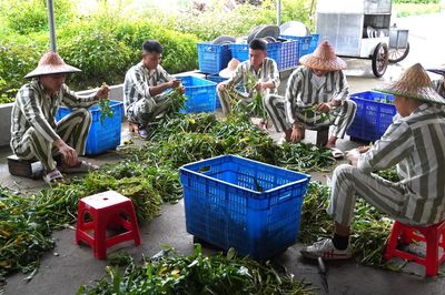 Hơn 13.000 người chấp hành xong án phạt tù được vay 1.000 tỷ đồng vốn làm ăn