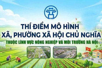 Thí điểm mô hình 'xã, phường Xã hội chủ nghĩa' thuộc lĩnh vực nông nghiệp và môi trường trên địa bàn thành phố Hà Nội