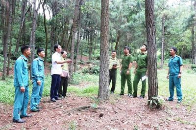 Hà Nội: Đôn đốc rà soát quản lý đất có nguồn gốc từ Lâm trường Sóc Sơn