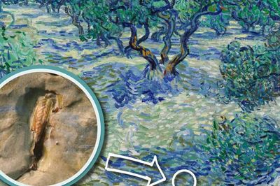 Phát hiện bí mật thú vị bị che lấp 128 năm khi soi kính hiển vi bức tranh nổi tiếng của Van Gogh
