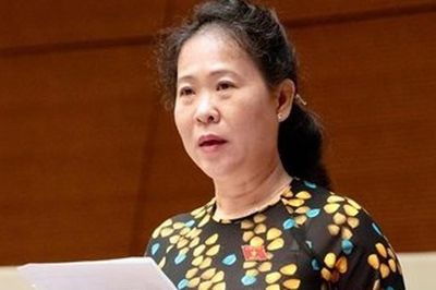 ĐBQH Tô Ái Vang: Cần can thiệp sớm để giảm suy dinh dưỡng thấp còi ở trẻ