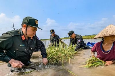 Dầm mình trong dòng nước dữ, viết bằng hơi ấm tình người