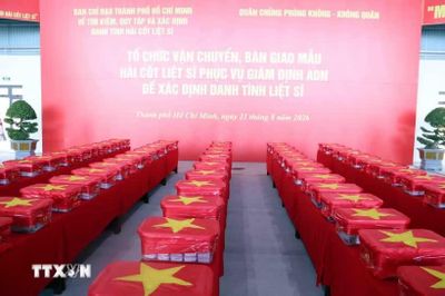 Chuyến bay đưa 7.104 mẫu hài cốt liệt sỹ ra Hà Nội đi tìm danh tính